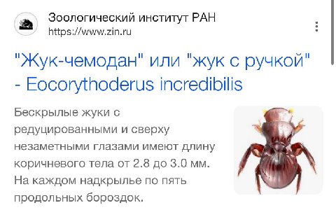 Ебучий случай 

Чимодан