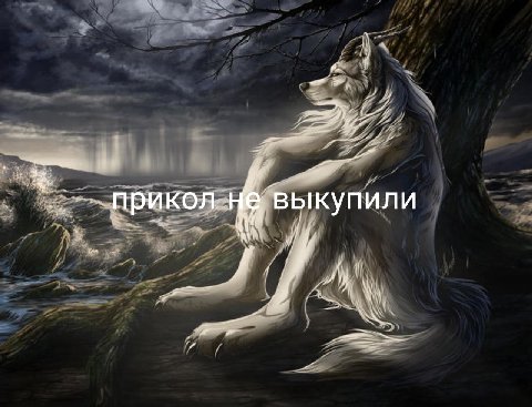 4. прикол выкупили A