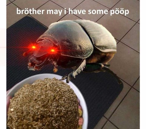 brother may i have some poop
