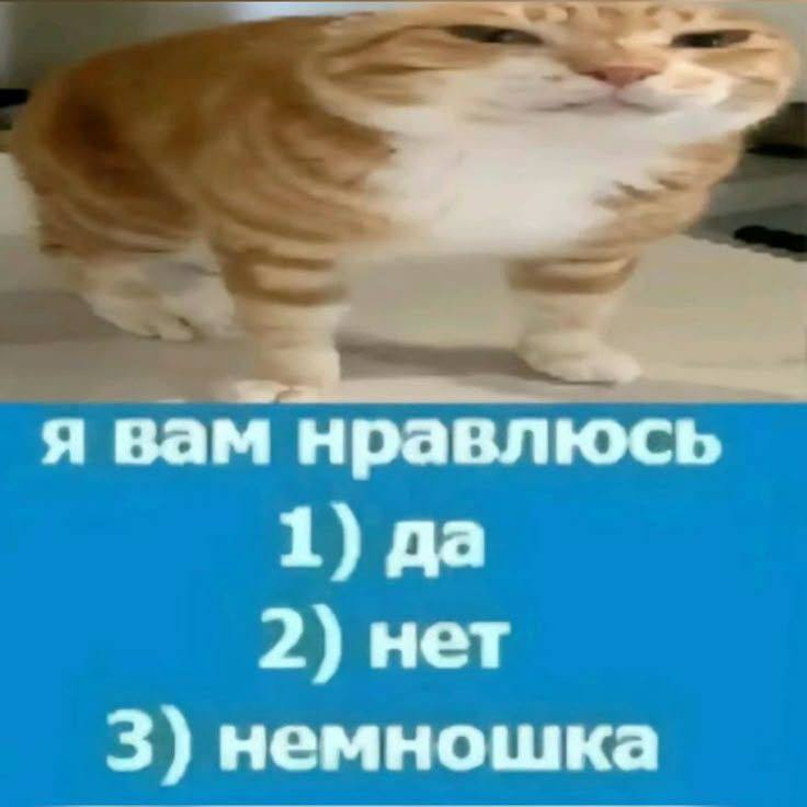 я вам нравлюсь 1) да 2) нет 3) немношка