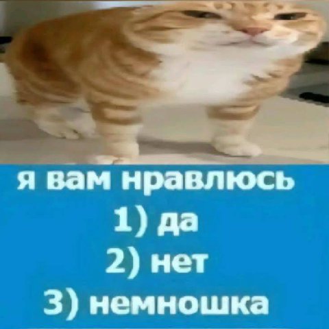 я вам нравлюсь 1) да 2) нет 3) немношка