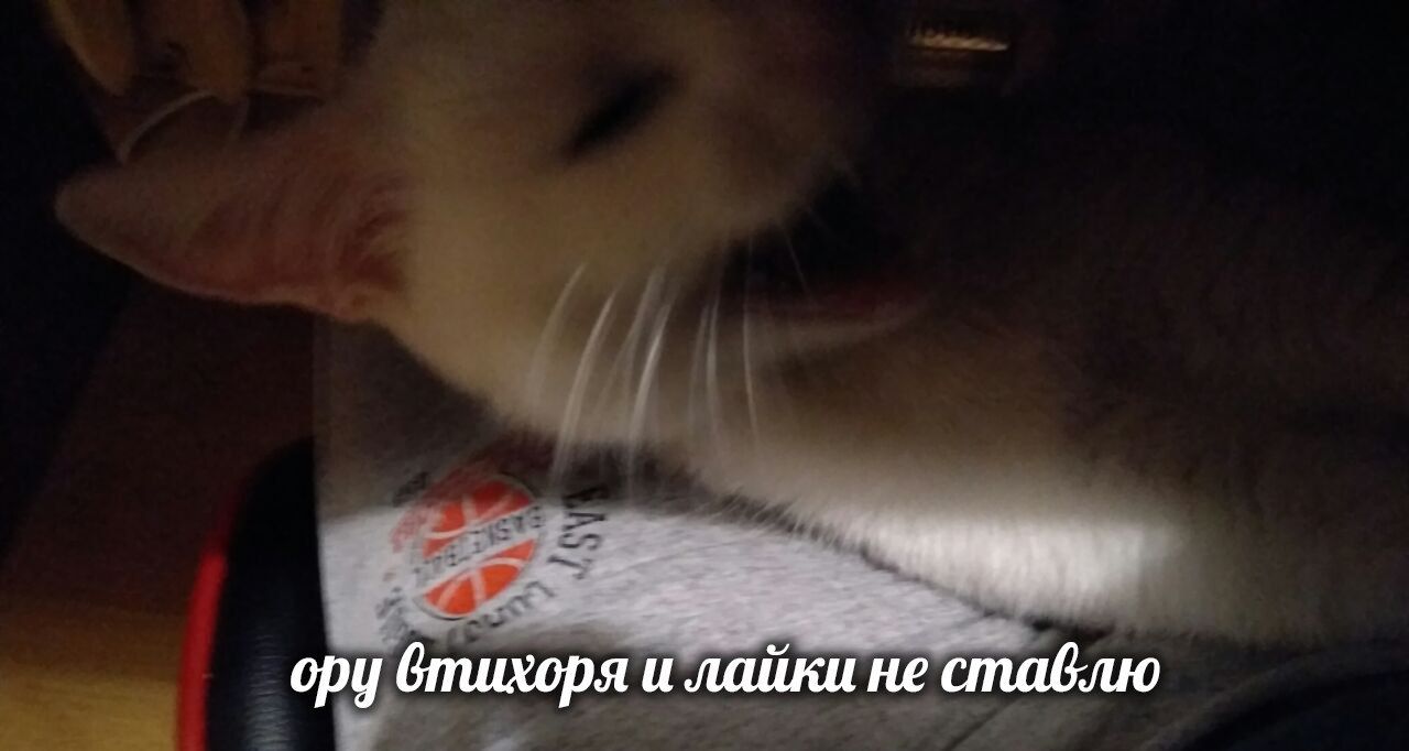 ору бтихоря и лайки не ставлю