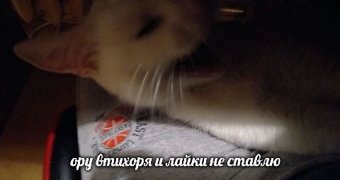 ору бтихоря и лайки не ставлю