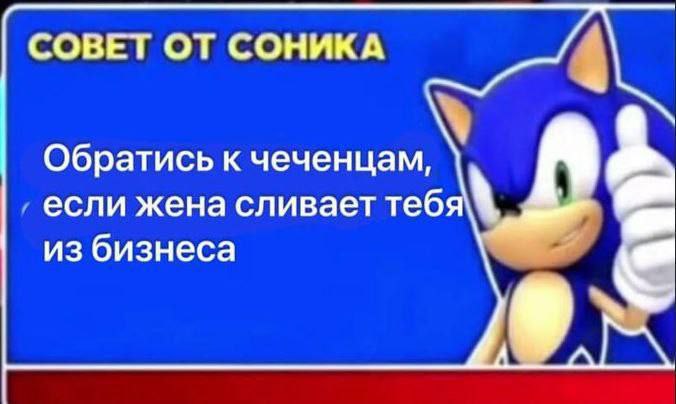СОВЕТ ОТ СОНИКА Обратись к чеченцам, если жена сливает тебя из бизнеса