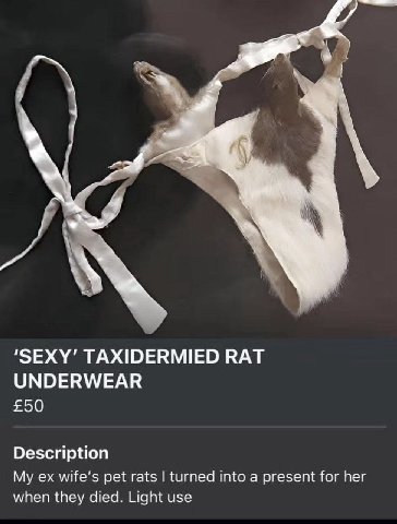 4 ‘SEXY’ TAXIDERMIED RAT UNDERWEAR £50 Description My pet rats turned into a present for her when they died. Light use