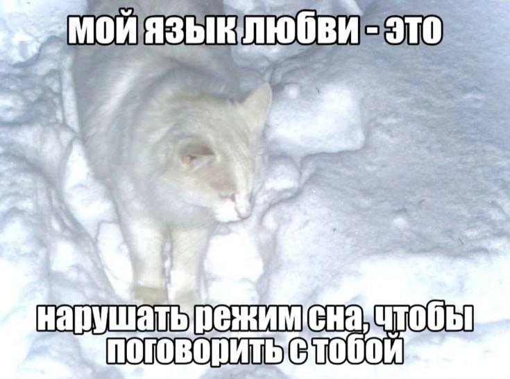 моЙЯзыклюбви- это нарушатьрежимснаитобы поговорить {стобой