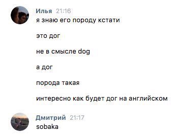 Илья я знаю его породу кстати это дог не в смысле 909 а дог порода такая интересно как будет дог на английском Дмитрий sobaka