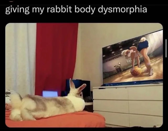 giving my rabbit body dysmorphia