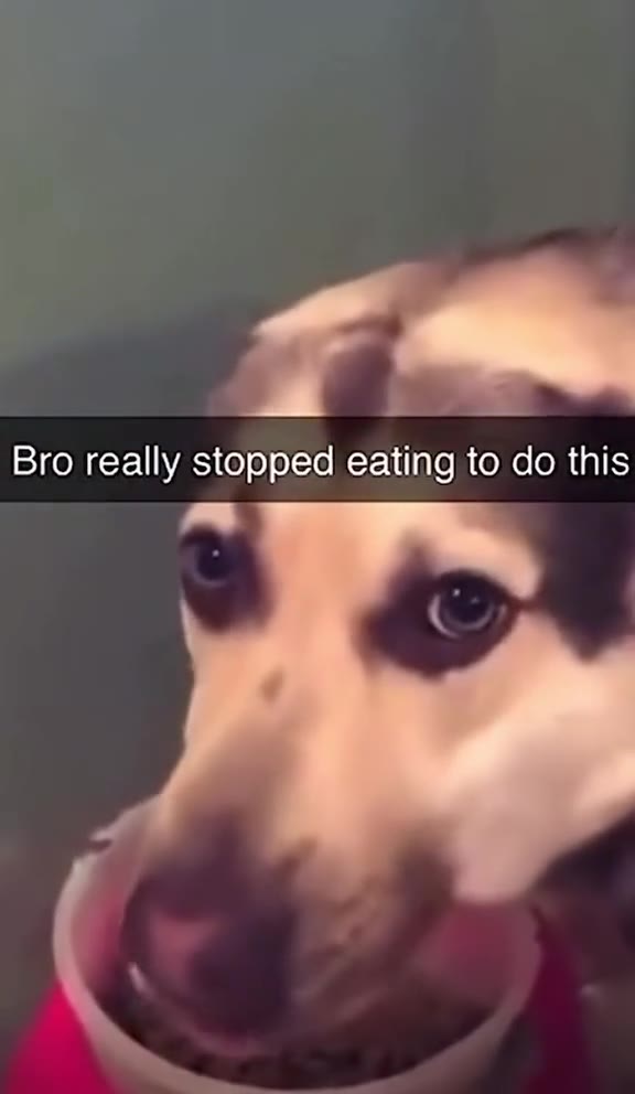 Bro really stopped eating to do this