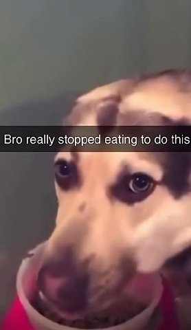 Bro really stopped eating to do this