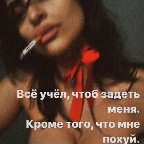 Все учел, чтоб задеть меня. Кроме того, что мне похуй.