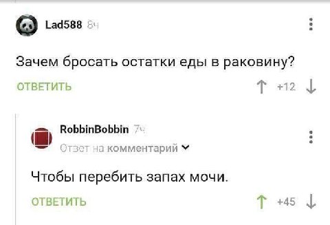о Lad588 Зачем бросать остатки еды в раковину? ОТВЕТИТЬ +12 RobbinBobbin Ответ на комментарий Чтобы перебить запах мочи. ОТВЕТИТЬ +45