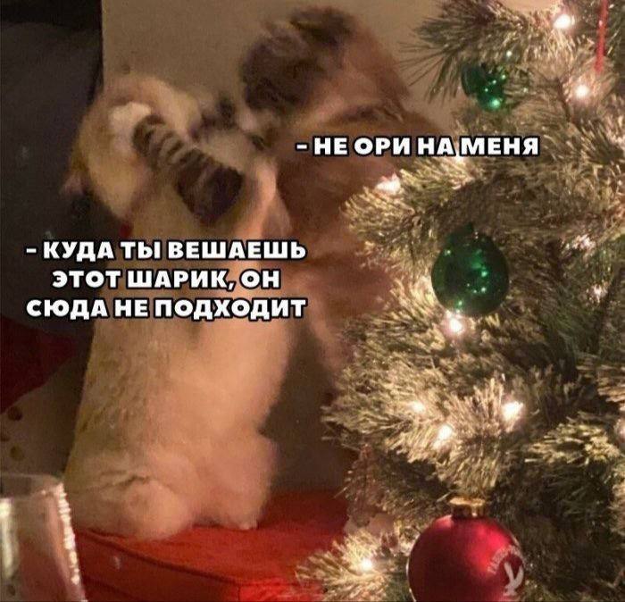 HE OPH НА МЕНЯ 4 КУДА ТЫ ВЕШАЕШЬ ЭТОТ ШАРИК, ОН СЮДА НЕ ПОДХОДИТ