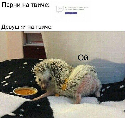 Парни на твиче: Девушки на твиче: at
