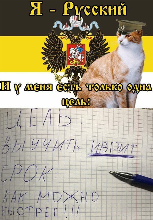 Я Русский можно 111