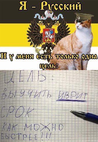 Я Русский можно 111