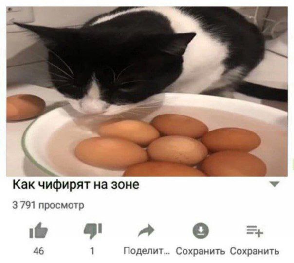 Как чифирят на зоне 3 791 просмотр a о 46 1 Поделит... Сохранить Сохранить