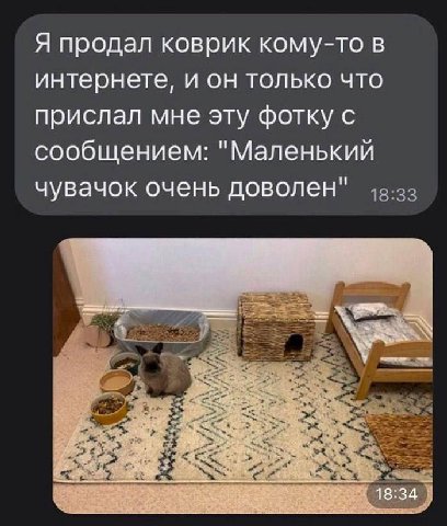 Я продал коврик кому-то в интернете, и он только что прислал мне эту фотку с сообщением: "Маленький чувачок очень доволен" 18:34