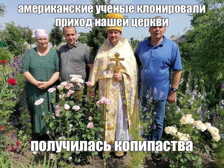 американские ученые клонировали <a у “4 2 Wry олучилась копипаства