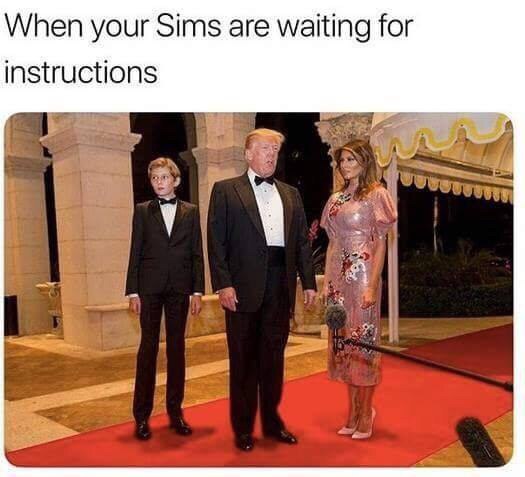 When your Sims are waiting for instructions i if