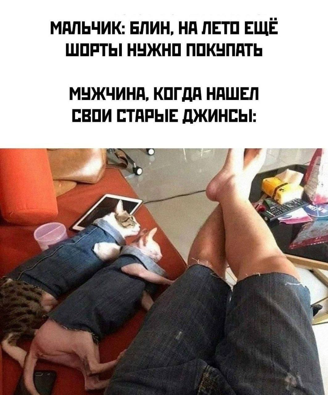 МАЛЬЧИК: БЛИН, НА ЛЕТО ЕЩЁ ШОРТЫ НУЖНО ПОКУПАТЬ МУЖЧИНА, КОГДА НАШЕЛ СВОИ СТАРЫЕ ДЖИНСЫ: