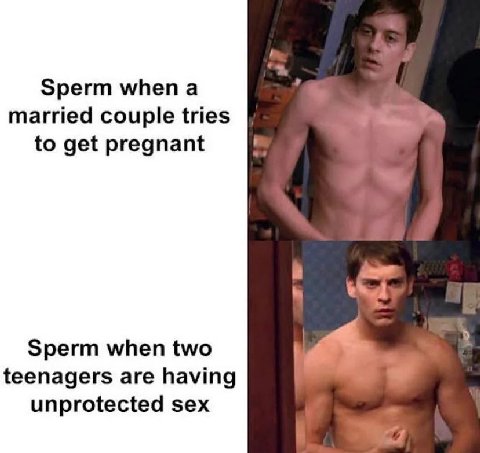 Sperm when а married couple tries to get pregnant Sperm when two teenagers are having unprotected sex