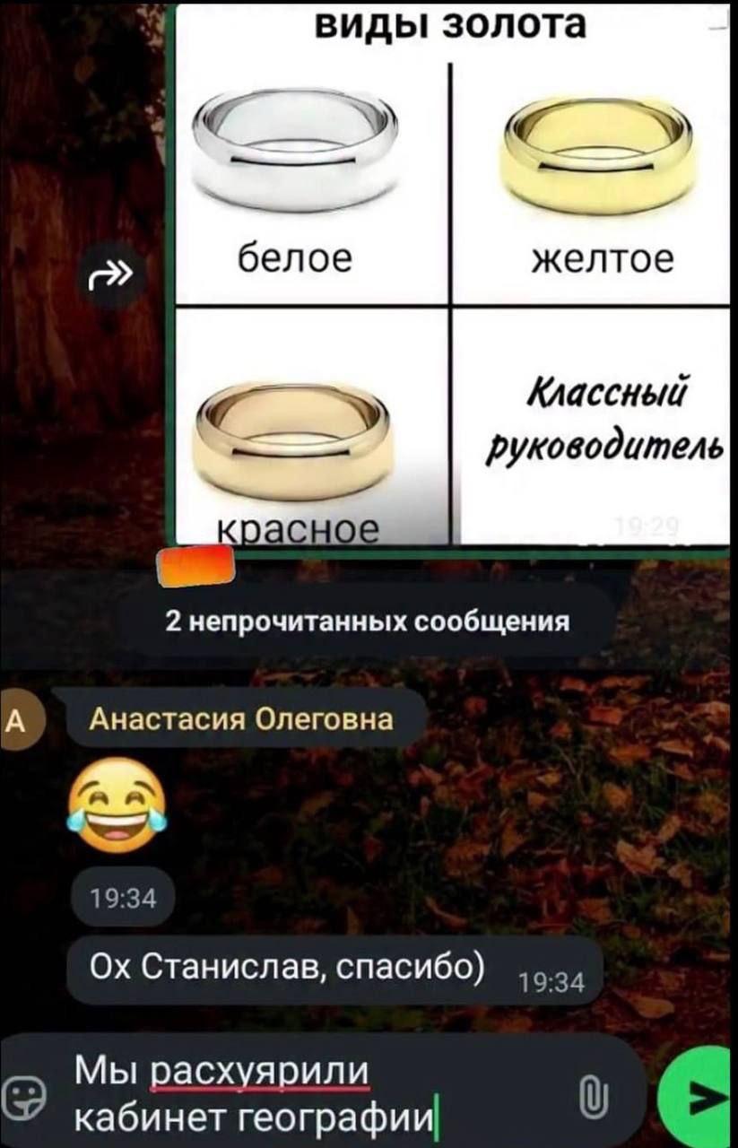 виды золота У) белое желтое Классный руководитель НОЕ 2 непрочитанных сообщения А Анастасия Олеговна 19:34 Станислав, спасибо) 19:34 Мы расхуярили кабинет географии о