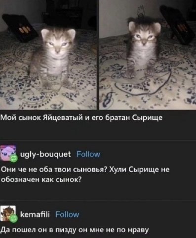 Мой сынок Яйцеватый и его братан Сырище ugly-bouquet Follow Они че не оба твои сыновья? Хули Сырище не обозначен как сынок? kemafili Follow Да пошел он в пизду он мне не по нраву