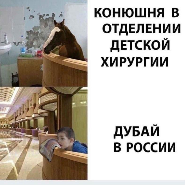КОНЮШНЯ В ОТДЕЛЕНИИ ДЕТСКОЙ ХИРУРГИИ ДУБАЙ В РОССИИ 7