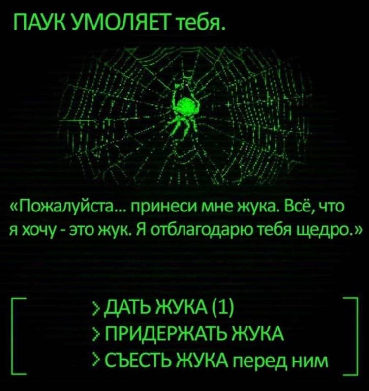 ПАУК УМОЛЯЕТ тебя. «Пожалуйста... принеси мне жука. Всё, что я хочу это жук. Я отблагодарю тебя щедро.» ДАТЬ ЖУКА (1) ПРИДЕРЖАТЬ ЖУКА СЪЕСТЬ ЖУКА перед ним