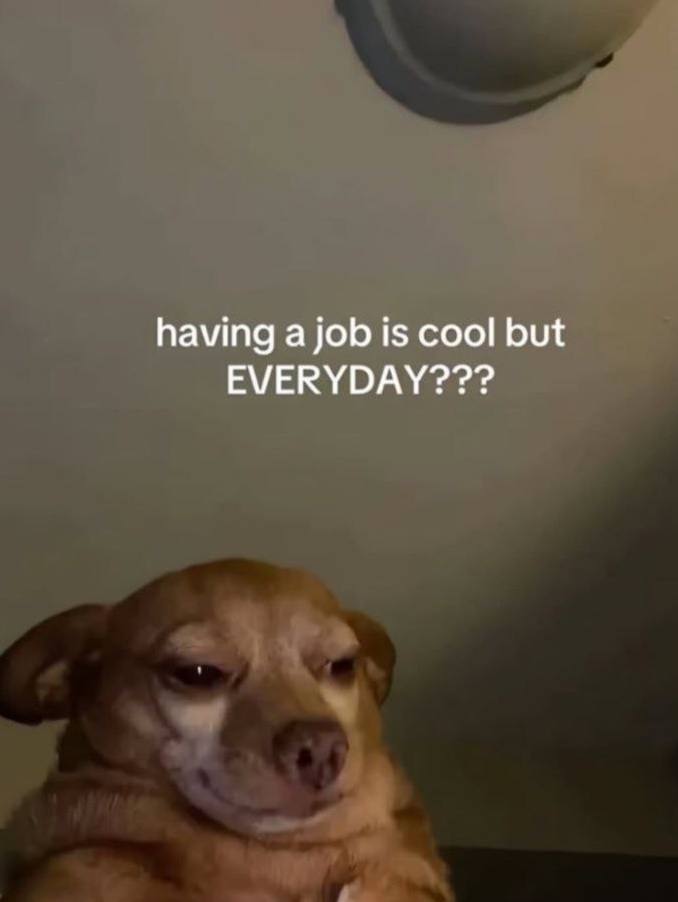 having a job is cool but EVERYDAY???