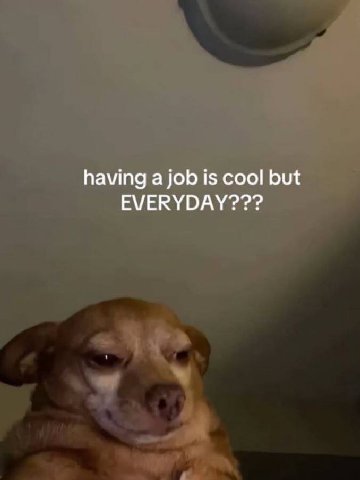 having a job is cool but EVERYDAY???