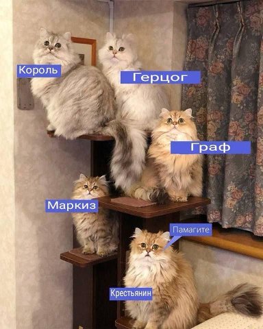 Король Герцог Граф Маркиз Памагите a Крестьянин‘