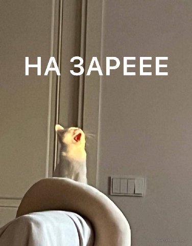 НА ЗАРЕЕЕ