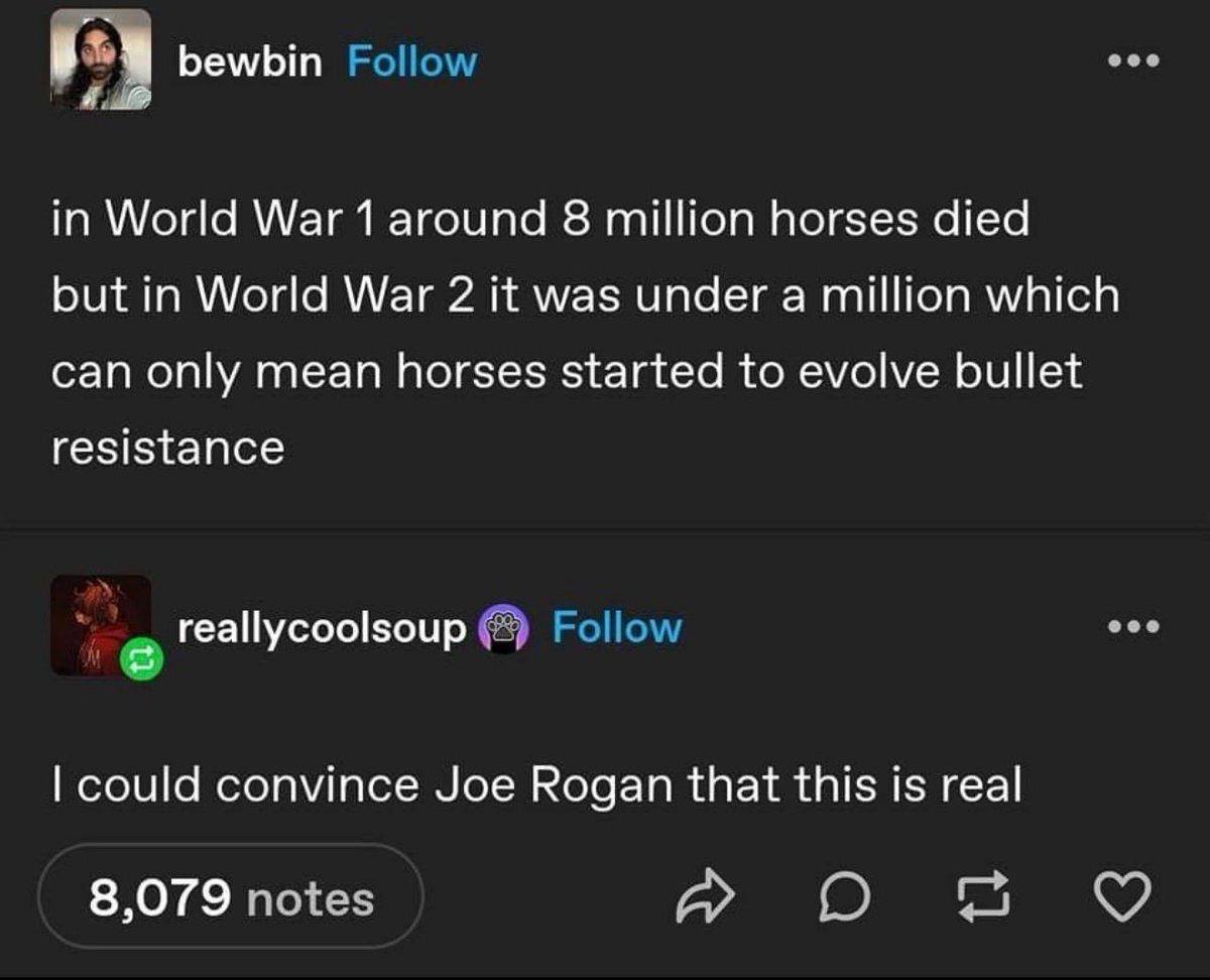 bewbin in World War 1 around 8 million horses died but in World War 2 it was under a million which can only mean horses started to evolve bullet resistance reallycoolsoup could convince Joe Rogan that