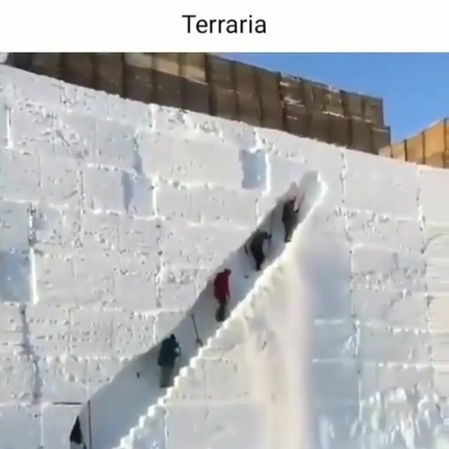 Terraria