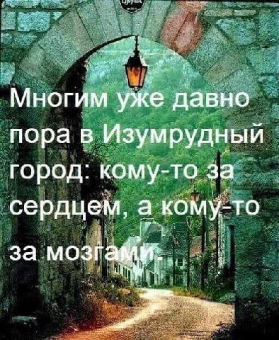 Многим уже давно пора в Изумрудный город: кому-то за сердцем, а кому-то за