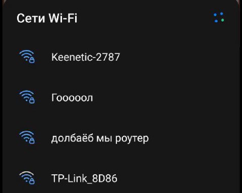 Сети WI-FI Кеепейс-2787 долбаеб мы роутер TP-Link_8D86