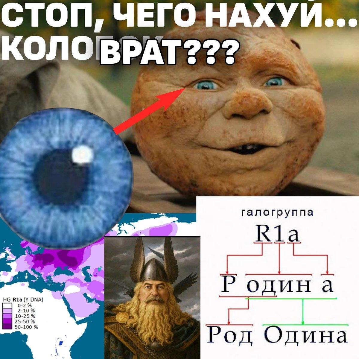 СТОП, ЧЕГО НАХУИ... КОЛОВРАТ??? галогруппа Ria одина Рол Олина
