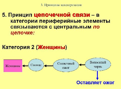 3. Принципы категоризации 5. Принцип цепочечной связи в категории периферийные элементы связываются с центральным по цепочке: Категория 2 (Женщины) Волосатый Солнечный ожог червь Оставляет ожог