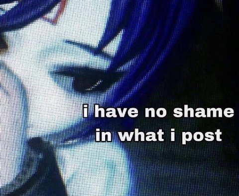 no shame what i post i