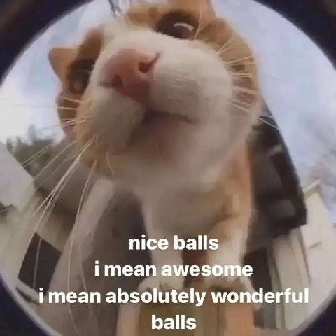 я 4 4 nice balls i mean awesome imean absolutely wonderful balls