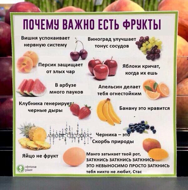 ПОЧЕМУ ВАЖНО ЕСТЬ ФРУКТЫ Вишня успокаивает улучшает i 4 нервную тонус сосудов Персик защищает Яблоки кричат, злых чар когда ихешь В арбузе Апельсин делает тебя огнестойким Клубника генериру черные дыр