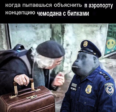 когда пытаешься объяснить в аэропорту концепцию чемодана с бипками 9