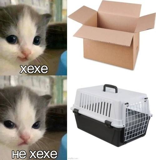 хехе iin не хехе