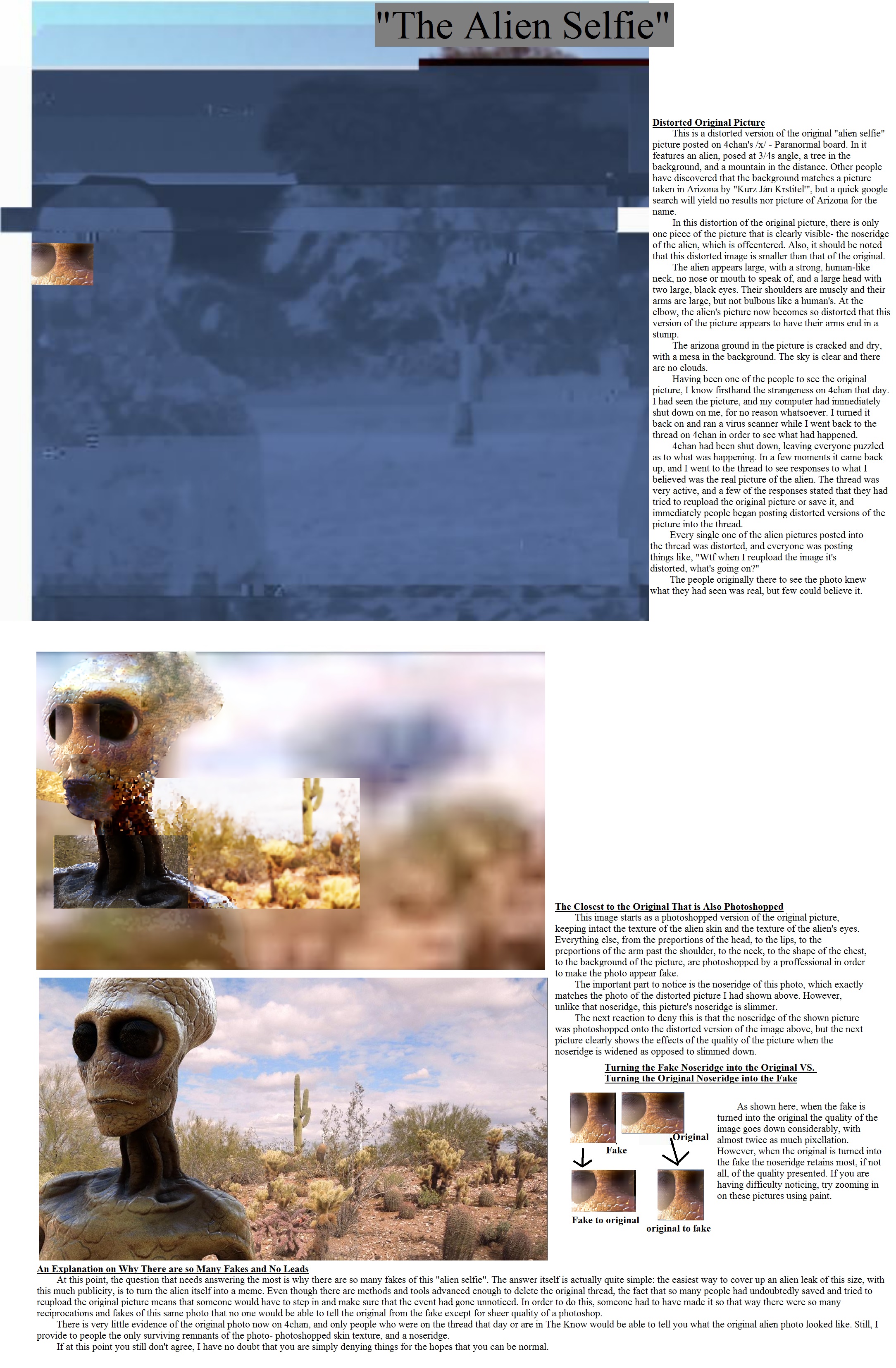 Distorted Original Picture This is a distorted version of the original "alien selfie" picture posted on 4chan's Paranormal board. In it features an alien, posed at angle, a tree in the background, and