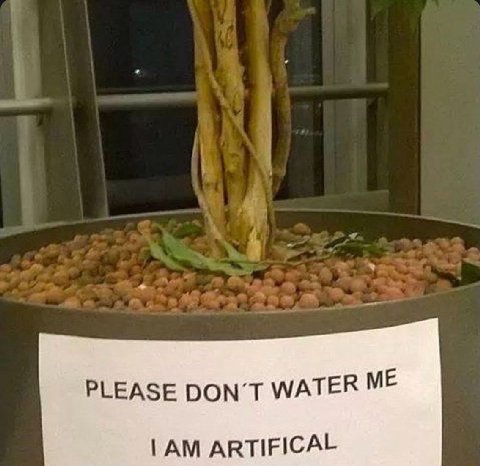 PLEASE DON’T WATER ME ARTIFICAL
