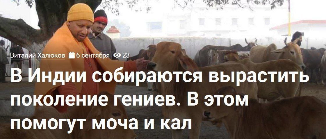 Халюков #6 В Индии собираются вырастить поколение гениев. В этом помогут моча и кал