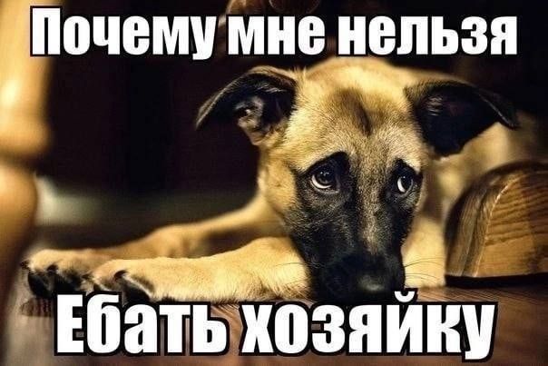 Почему мне нельзя Ебать. хозяйку