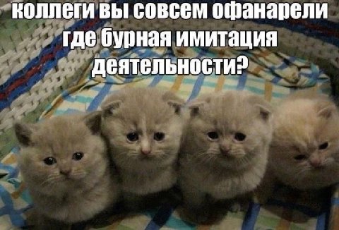 коллеги вы совсем офанарели где бурная имитация деятельности?